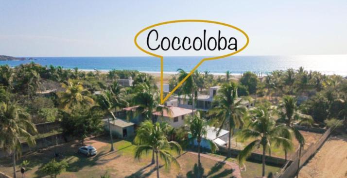 Coccoloba Guest House 埃斯孔迪多港 外观 照片