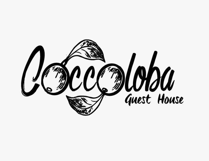 Coccoloba Guest House 埃斯孔迪多港 外观 照片